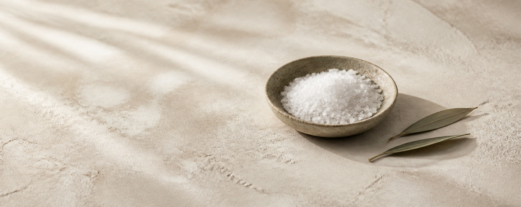A speckled ceramic dish of coarse salt beside two dried leaves on warm oat plaster